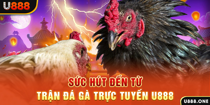 vietjack 7 đá gà trực tiếp c1