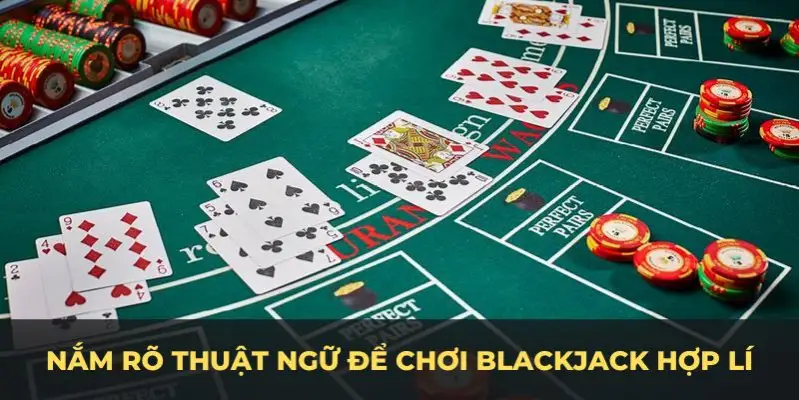 c1 gà chọi