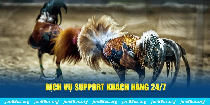 vietjack 7 ÁT CHỦ BÀI GIÀNH LẤY ZHUANG NIUNIU ( XEM 4 LÁ )