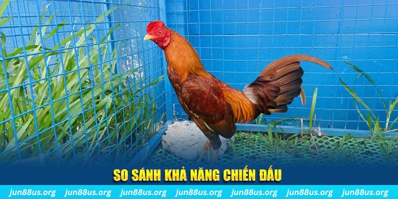 vietjack 7 CQ9 Điện Tử