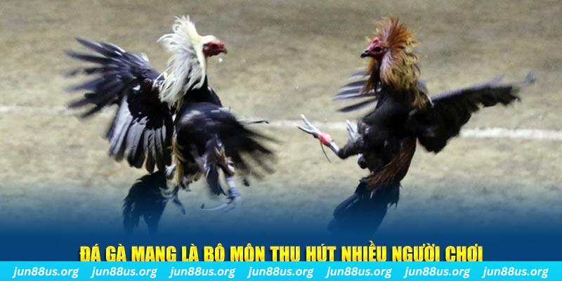 vietjack 7 bắn cá au88