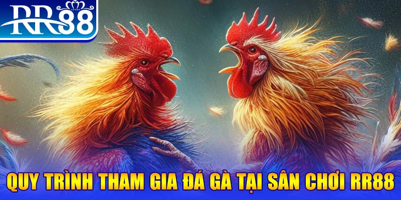 vietjack 7 đá gà cam 67