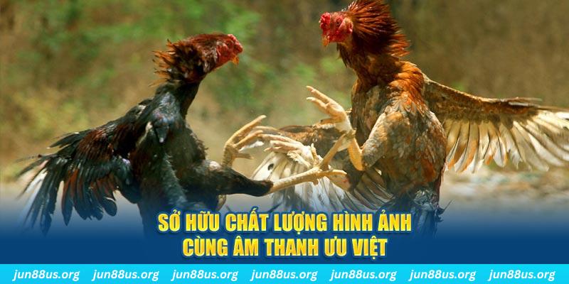 PP Điện Tử
