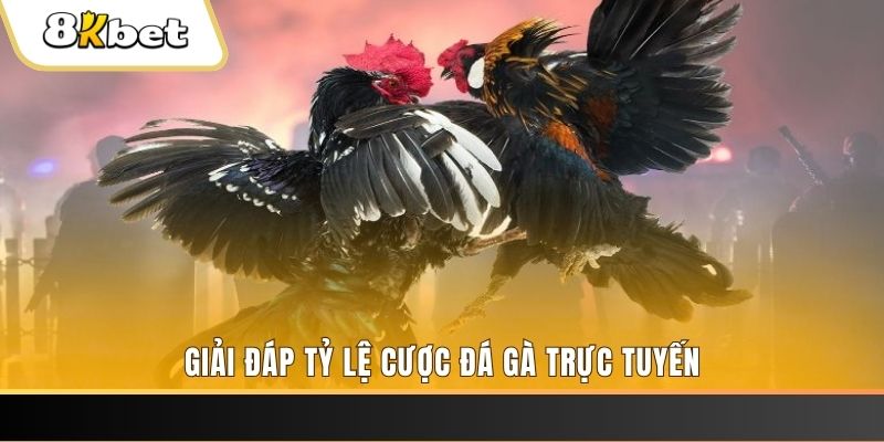 vietjack 7 xổ số đài miền trung