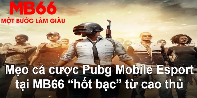 VA Bắn cá