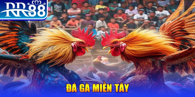 vietjack 7 no hu doi thuong ai