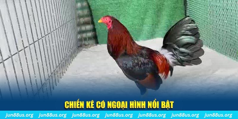vietjack 7 game nổ hũ là gì