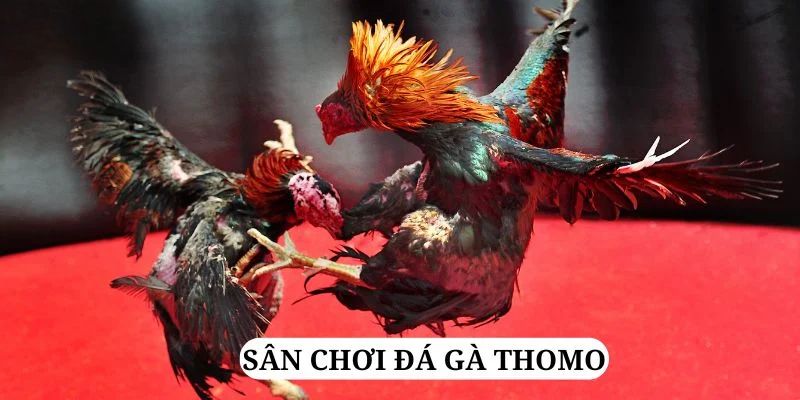 vietjack 7 trực tiếp xổ số miền bắc